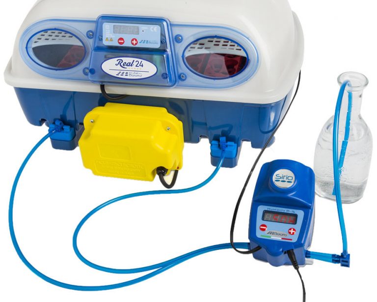 Réglage hygrométrie couveuse automatique ⇒ Nos conseils